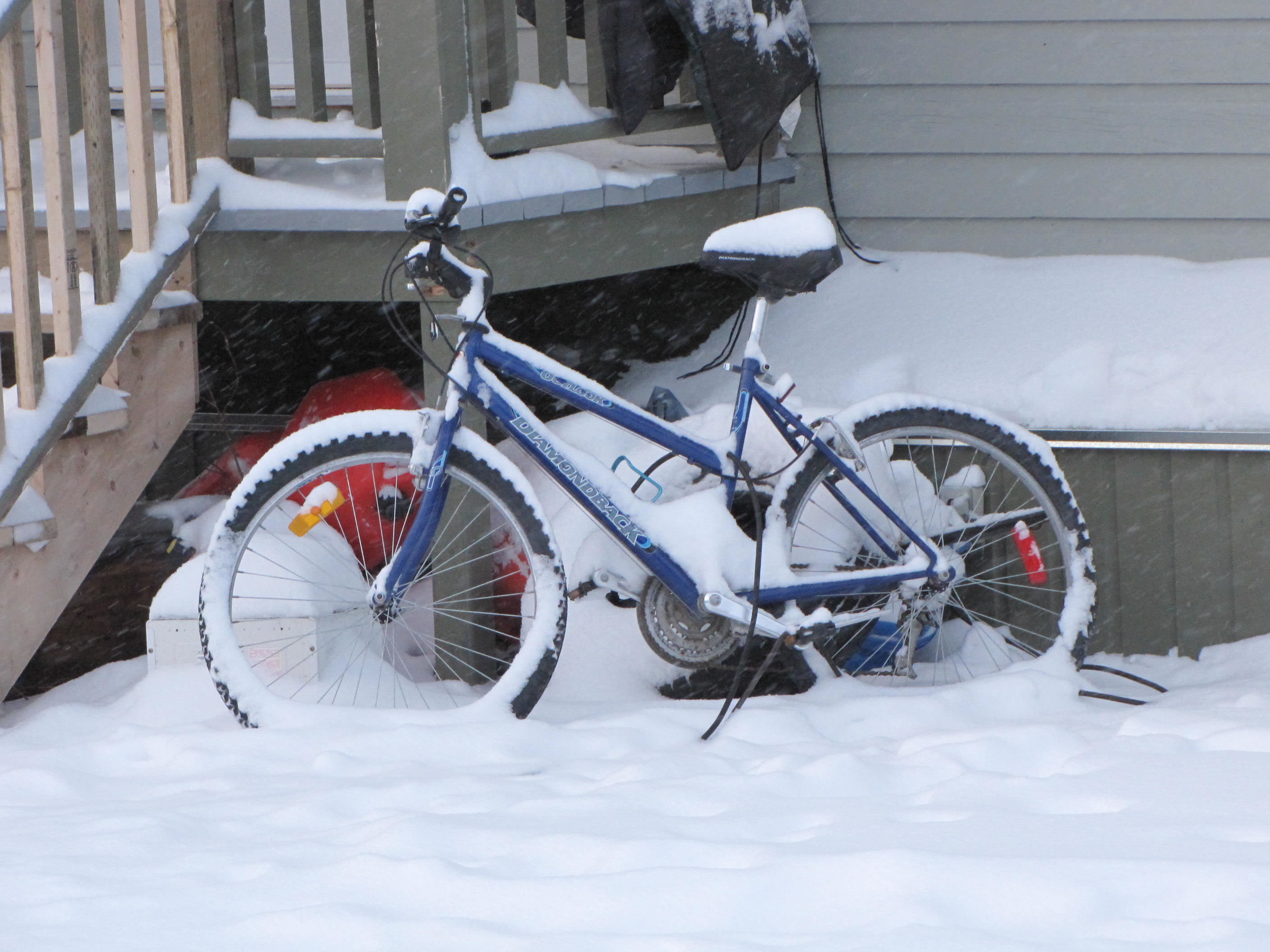 bike behind Bonanza Market